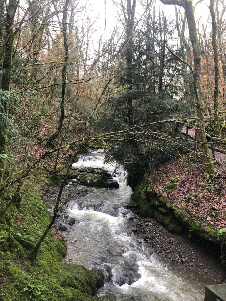 Llanfair Caereinion Visit Llanfair, Mid Wales, Wales, Truism, Things